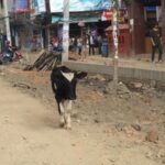 カトマンズの街