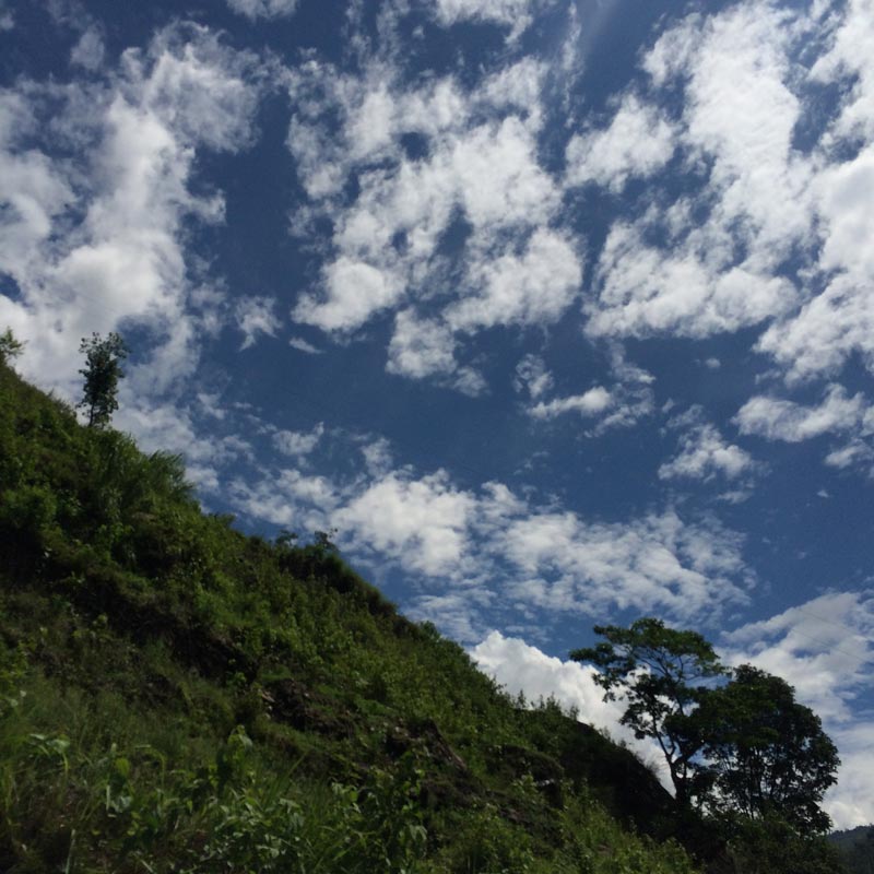 空と緑だけは過去と変わらない